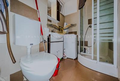 Apartament decomandat cu 3 camere in Plopilor - 8