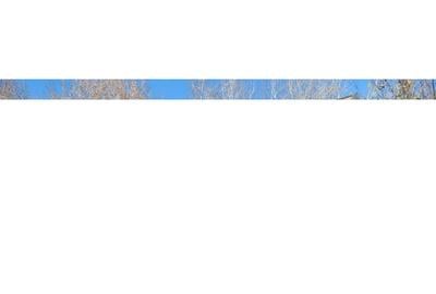 Casă cu 3 camere în Brănești