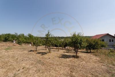 0% Comision !!  CASA PODUL BROSTENI - ARGES - 9