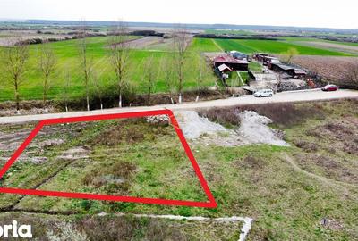 Teren de 500 mp, în Ardud - 3