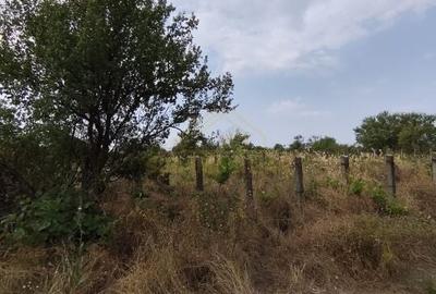 Teren intravilan potential investitie, str Solstitiului, Popesti Leordeni - 5