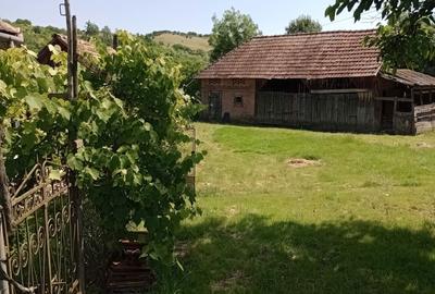 Casă cu 3 camere în Călărași - 1