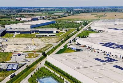 Teren de 300000 mp, în Vânătorii Mici - 12