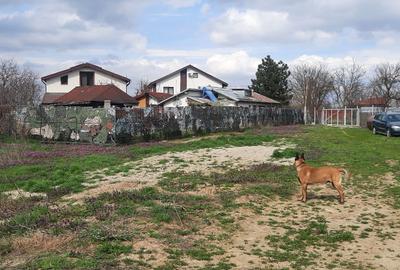 Teren de 1800 mp, în Dărăști-Vlașca - 5