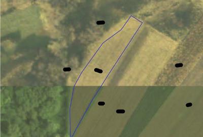 Teren extravilan Bosanci, ID: R2649417 - 1