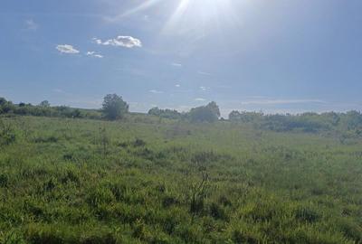 Teren de 4500 mp, în Bușag - 3