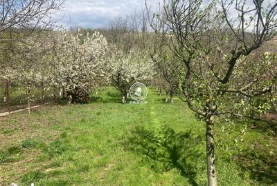 Casă cu 8 camere cu Teren 1172 Mp în Holboca - 7