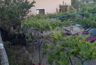 Casa pe malul lacului Paleu teren 510 mp - priveliste deosebita - 2