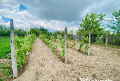Casă cu 4 camere cu Teren 2753 Mp în Central - 2
