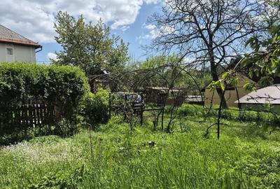 Baia Sprie, casa cu etaj ,10 ari teren - 10