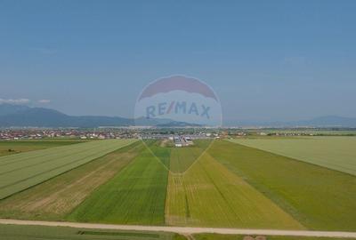 Teren 42,000mp Tarlungeni / Strada Izvor - 9