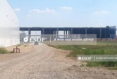 WDP Industrial Park Paulesti, hale de inchiriat, 2.500 - 14.150 mp - 2