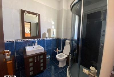 Spațiu comercial, de 420 mp, în Herăstrău - 3
