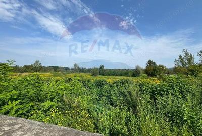 Teren 5,240mp Sighetu Marmatiei / Strada Crisan - 1