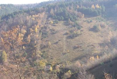 Teren arabil intravilan , priveliste mirifica , zona Schei - 13