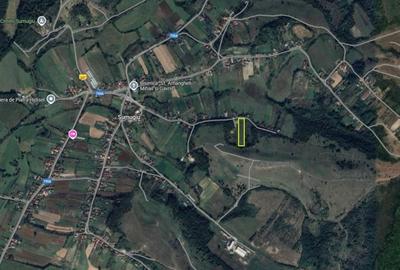 Teren intravilan - constructii, suprafata totala 5.995 mp, Șumugiu - 1