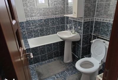 Apartament cu 2 camere în Paltiniș - 12