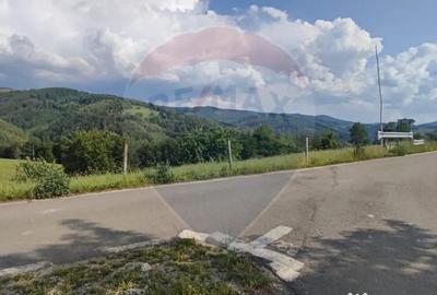 Teren de 128948 mp, în Munteni - 11