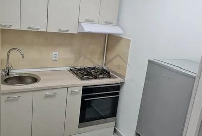 Apartament cu 1 camera complex Ambiance Valea Lupului - 4