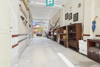 Proprietate multifunctionala central Arad - 5