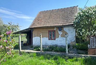 Casă cu 1 camere în Cistei - 2