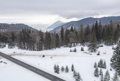 Teren intravilan, constructii S+P+2E+M, Drumul Poienii - 22