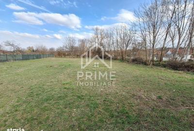 Spațiu comercial, în Ighiu - 1