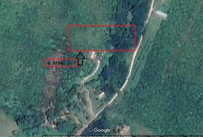 Spațiu comercial, în Urvind - 3