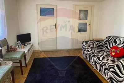 Casă individuală cu 7 camere cu Teren 2522 Mp în Brateiu - 7
