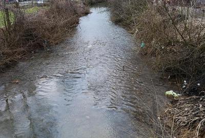 Casă cu 3 camere cu Teren 2400 Mp în Diosig - 3