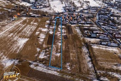 Film! Domeniu de 2.819 mp,  cu casa, Mereni, Covasna. - 5