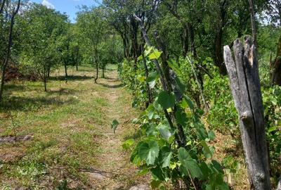 Casă cu 4 camere în Doicești - 5