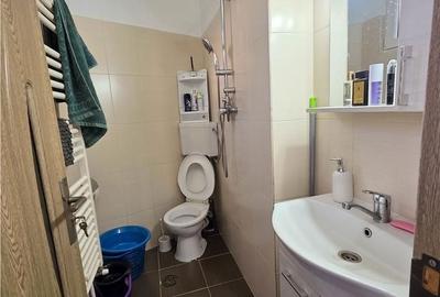 Casă cu 2 camere în Mureșeni - 2