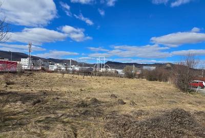 Teren Construcții intravilan de 4019 mp, în Est - 2