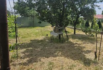 Teren de 455 mp, în Letea Veche - 3