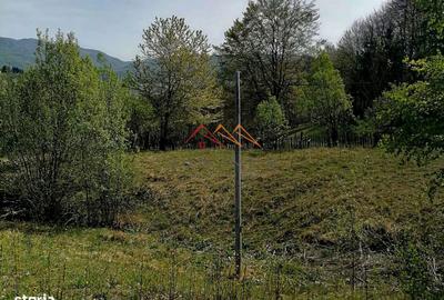 Teren de 23000 mp, în Valea Doftanei - 4