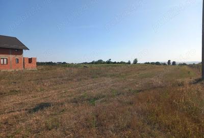 Teren de 9000 mp, în Lămășeni - 4