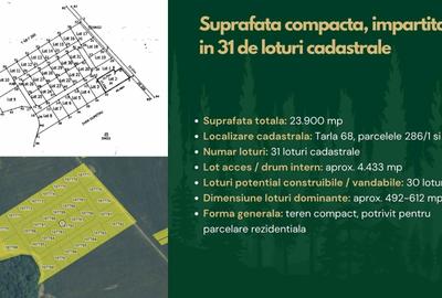 Teren de 23900 mp, în Snagov - 1
