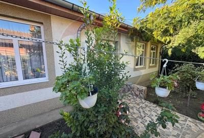 Casa / Vila cu 6 camere de vanzare in zona Sud Casa / Vila cu 6 camere de vanzare in zona Sud - 20