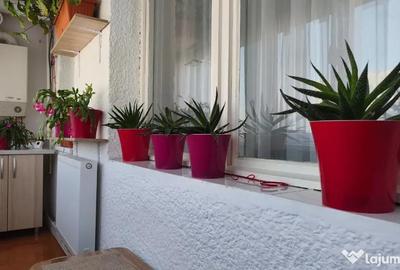 Apartament cu 3 camere decomandat în Ultracentral - 10