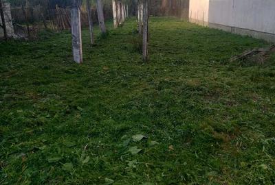 Casa ?i teren pentru construc?ii in Calnic - 3