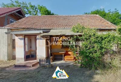 Casă cu 6 camere cu Teren 1160 Mp în Sânpaul - 14