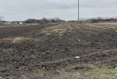 Teren de 3650 mp, în Mărgineni - 1