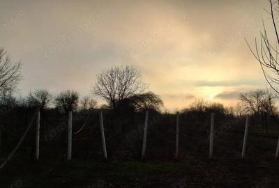 Casa spa?ioasa cu teren generos Valea Calugareasca, sat Pantazi - 7