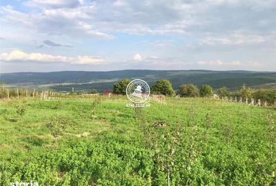 Teren de 6200 mp, în Mogoșești - 5