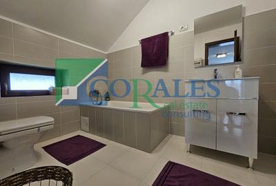 Casă individuală cu 7 camere cu Canalizare în Săcălaz - 17