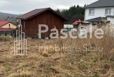 Spațiu comercial, în Sadu