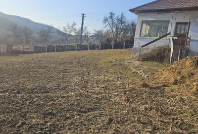 Spațiu comercial, în Central - 4