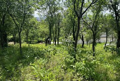 Teren de 886 mp, în Valea Roșie - 6