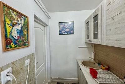 Pacurari, Moara de Foc - Apartament 1 camera, mobilat/utilat complet - 4